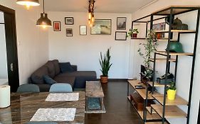 Nosen Asime Apartment